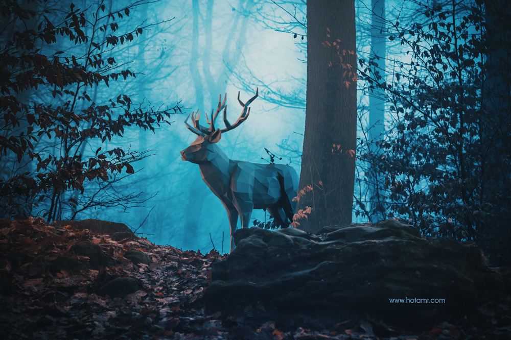 Blue Forest by Amr Elshamy (hotamr studio)